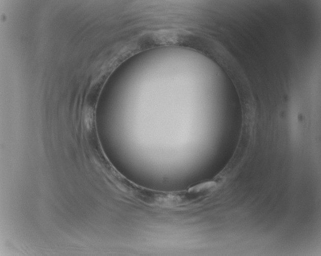 X0000051910125200507082039