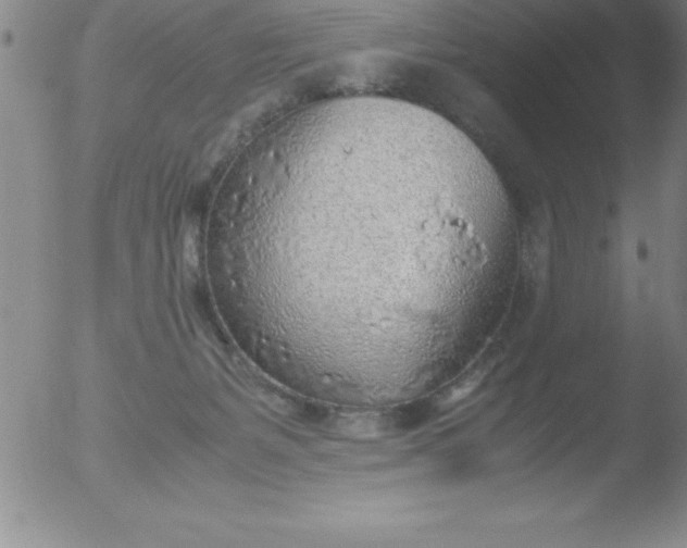 X0000051910127200507082039