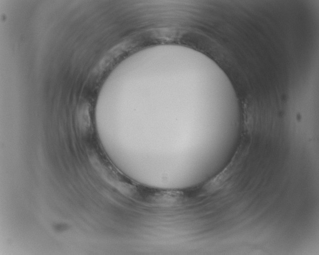 X0000051910128200507082039