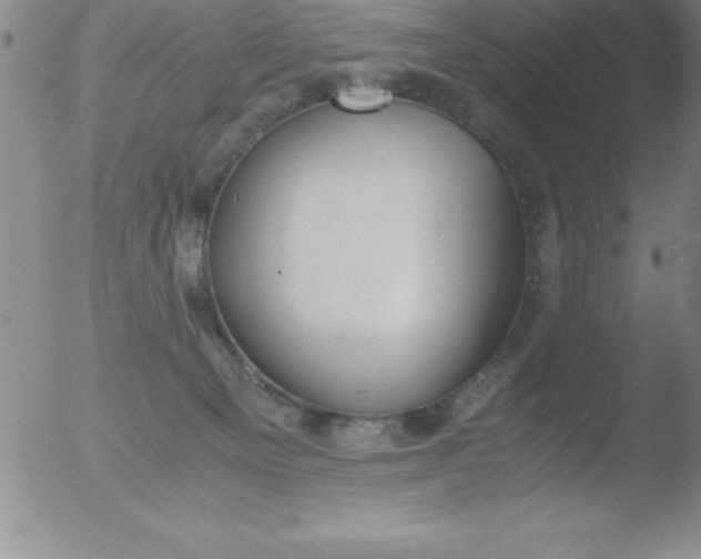 X0000051910129200507082039