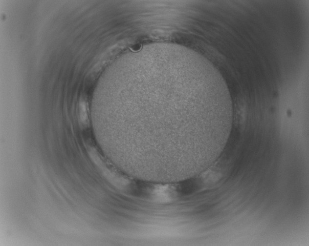 X0000051910130200507082039