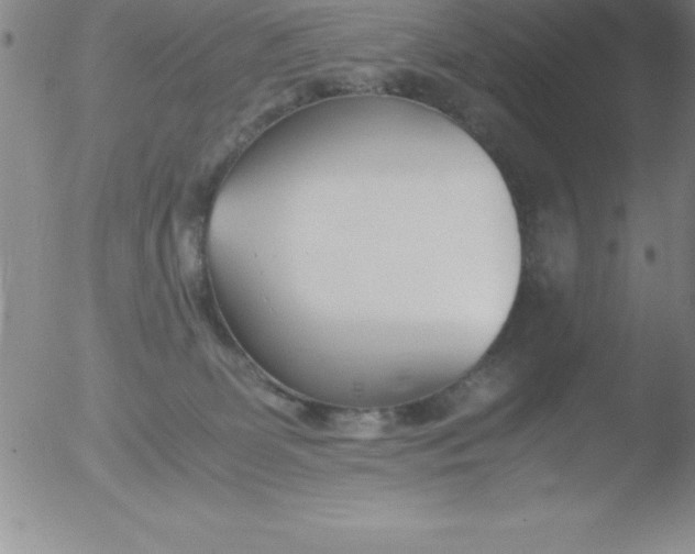 X0000051910131200507082039