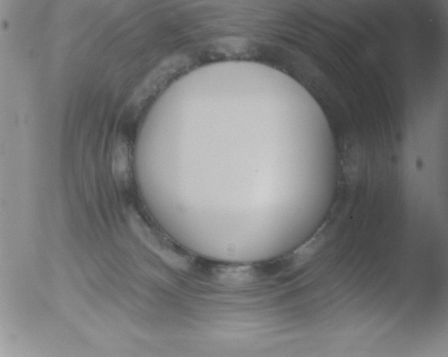 X0000051910132200507082039