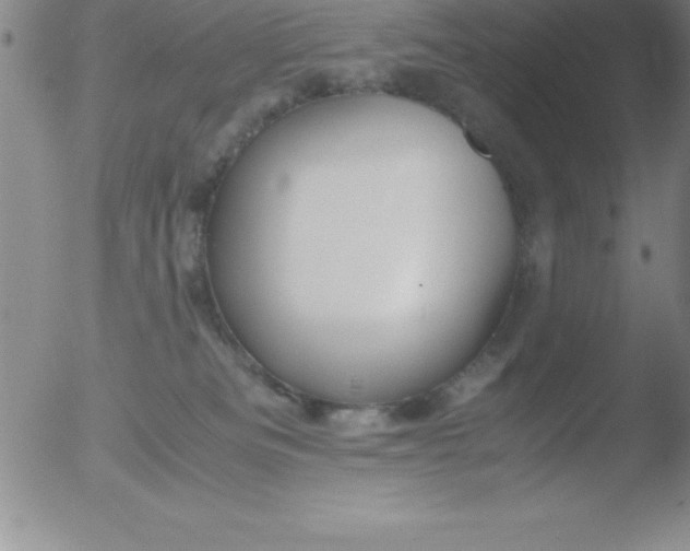 X0000051910133200507082039