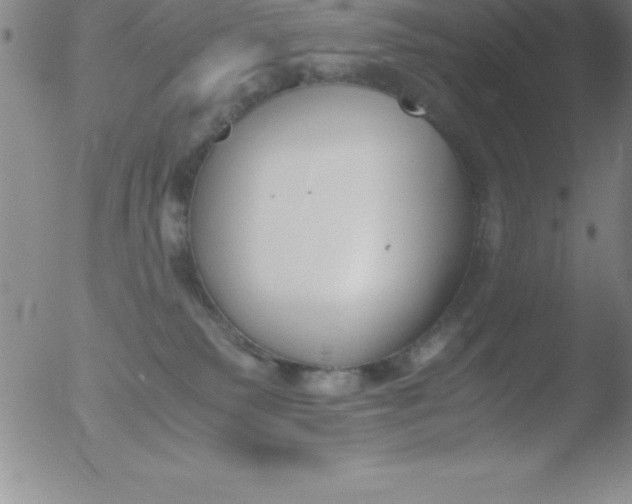 X0000051910135200507082039