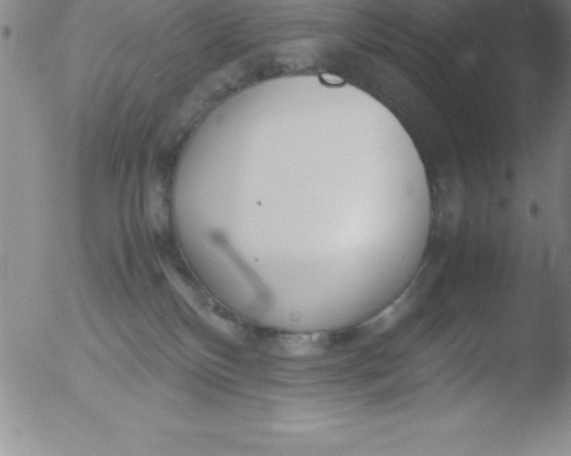 X0000051910136200507082039