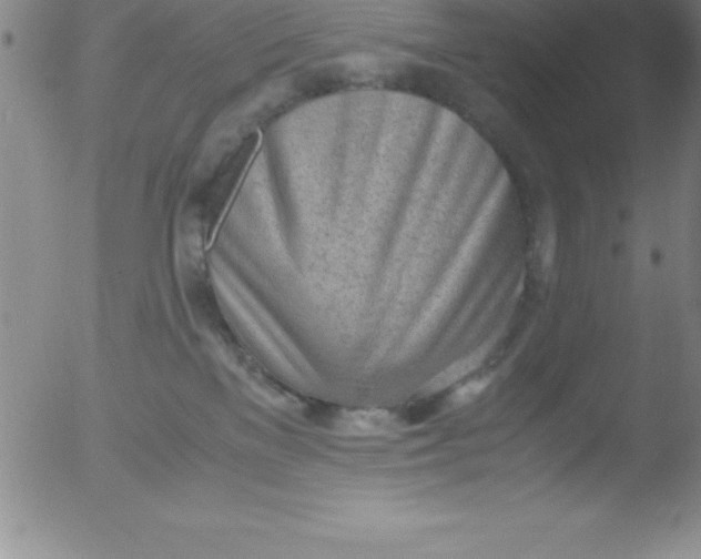 X0000051910137200507082039