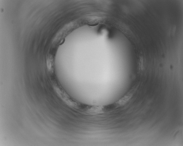 X0000051910138200507082039