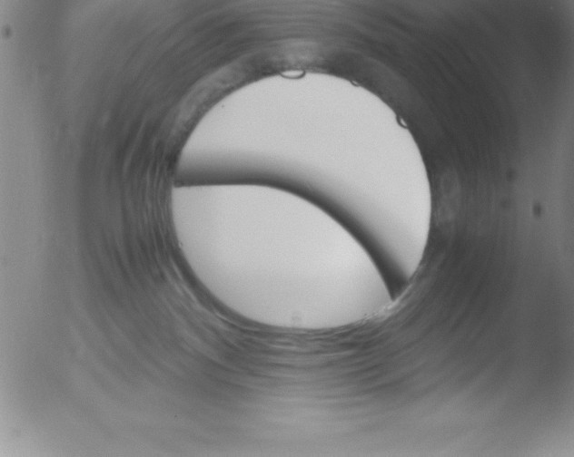 X0000051910140200507082039