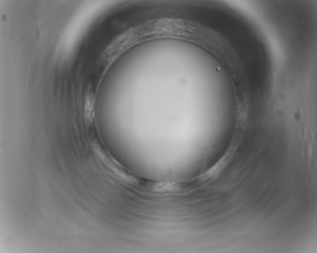 X0000051910142200507082039