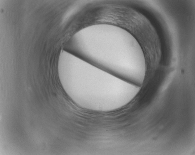 X0000051910143200507082039