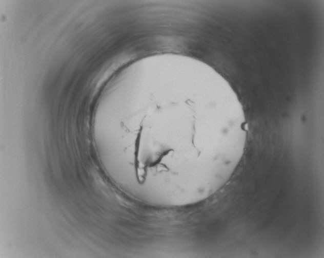 X0000051910146200507082038