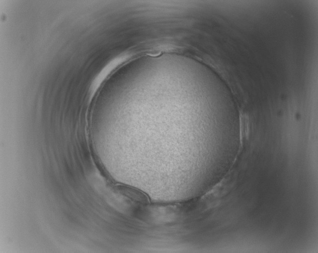 X0000051910147200507082038