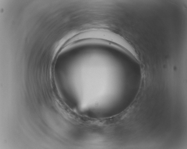 X0000051910148200507082038