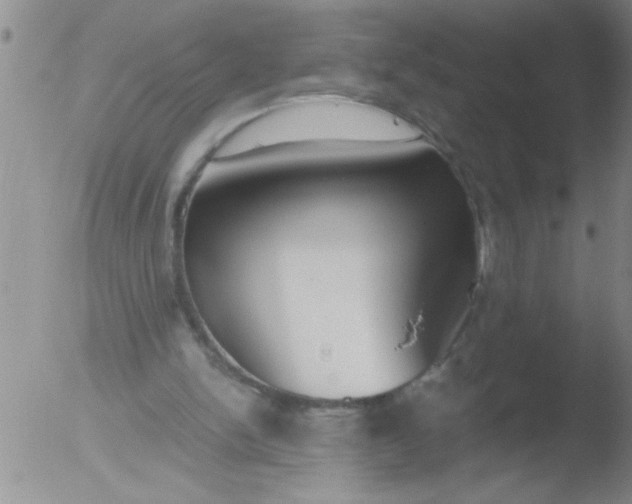 X0000051910150200507082038