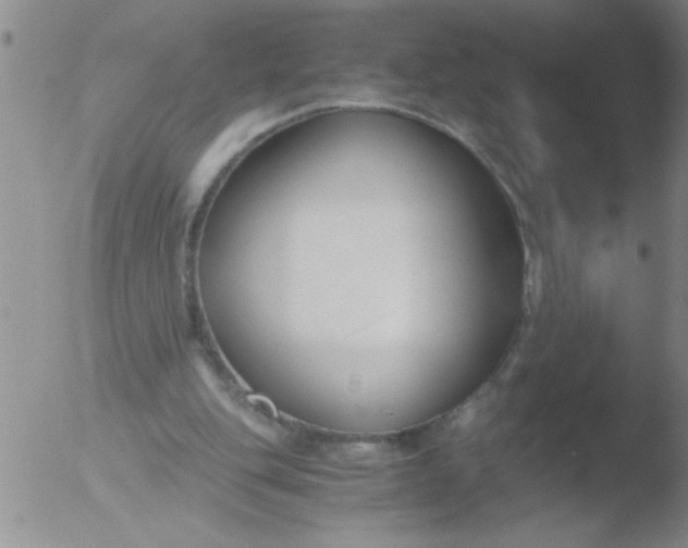 X0000051910151200507082038