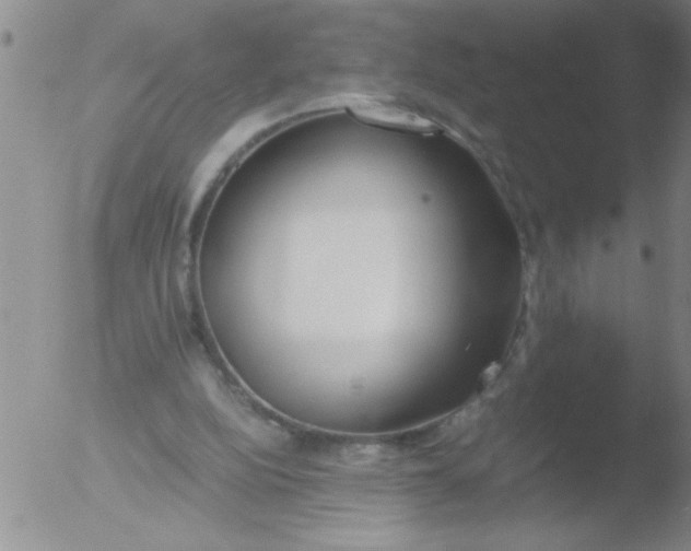 X0000051910152200507082038