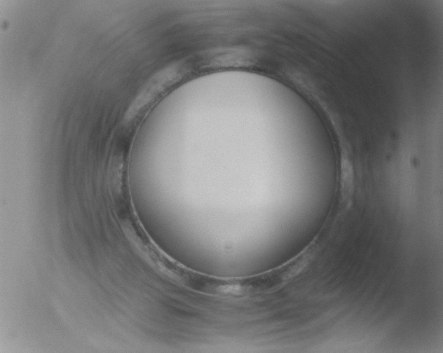 X0000051910153200507082038