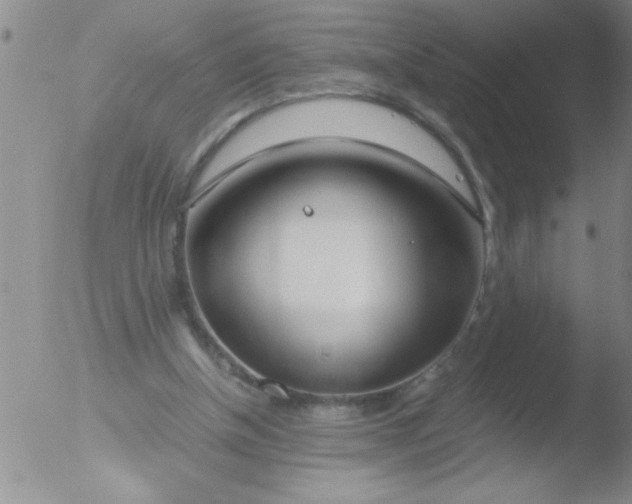 X0000051910154200507082038