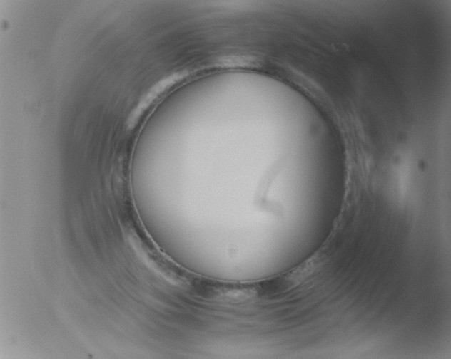 X0000051910155200507082038