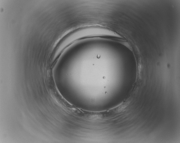 X0000051910156200507082038