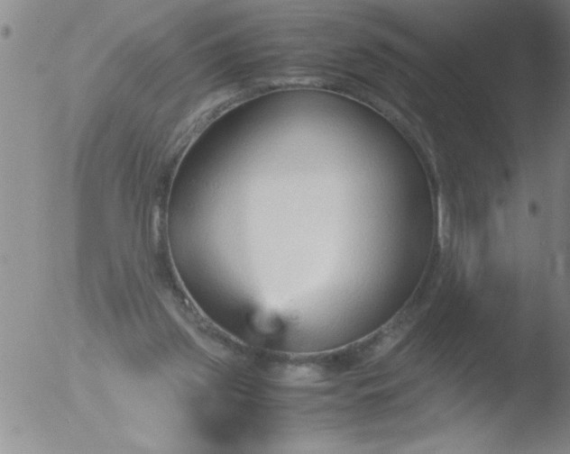 X0000051910157200507082038