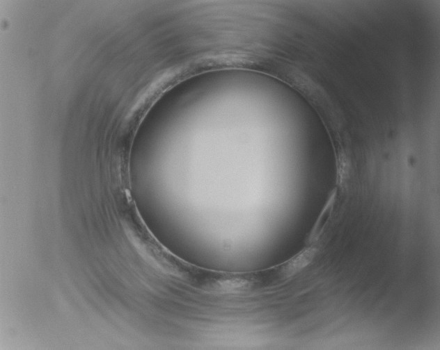 X0000051910158200507082038