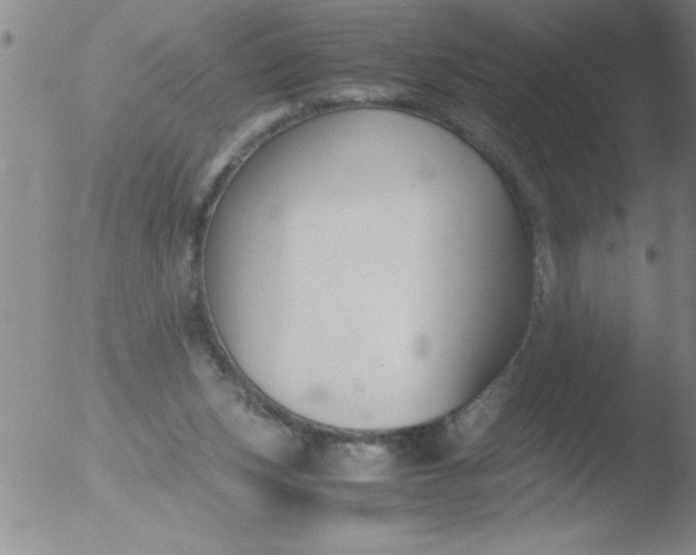 X0000051910159200507082038