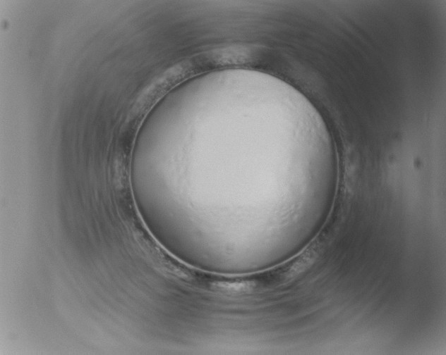 X0000051910161200507082038