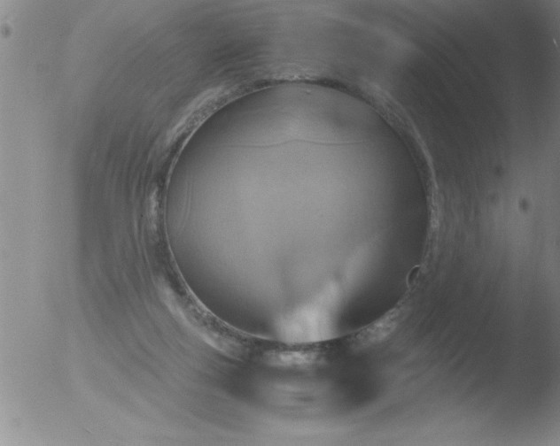 X0000051910163200507082038