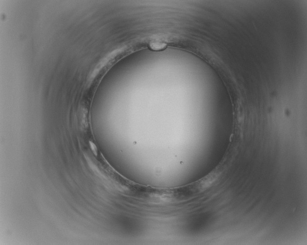 X0000051910164200507082038