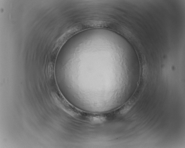 X0000051910165200507082038