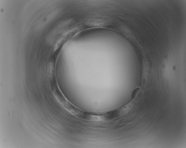 X0000051910167200507082038