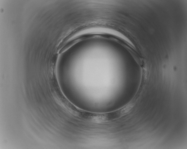 X0000051910168200507082038