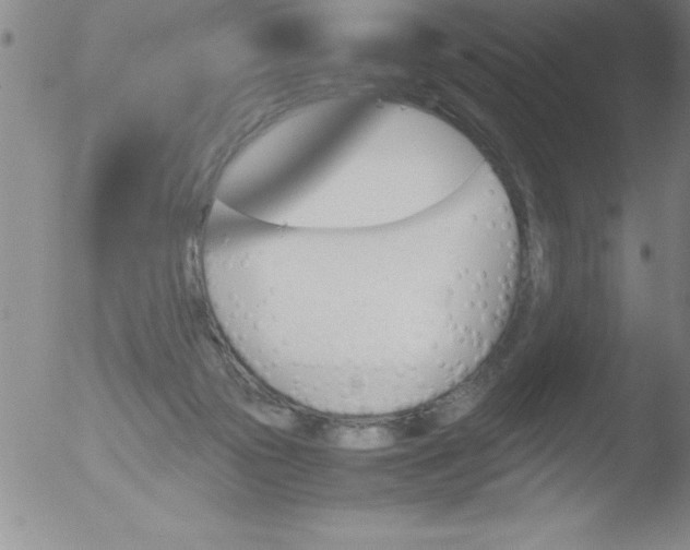 X0000051910169200507082038