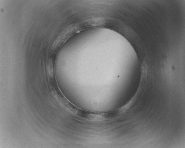 X0000051910170200507082039