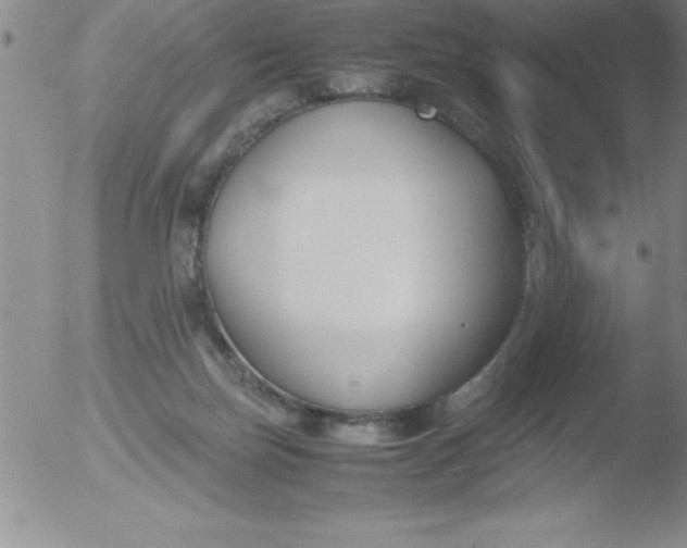 X0000051910171200507082039