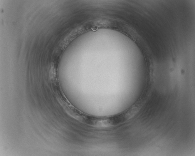 X0000051910173200507082039