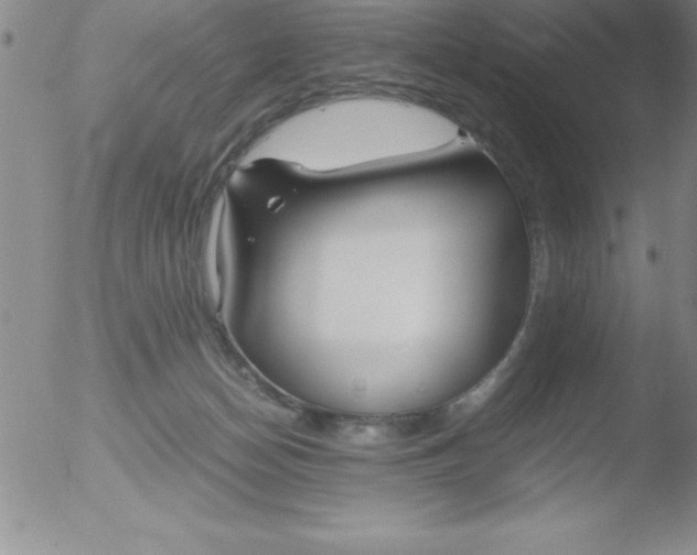 X0000051910174200507082039