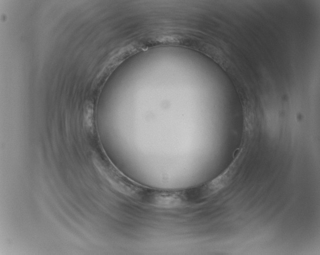 X0000051910175200507082039