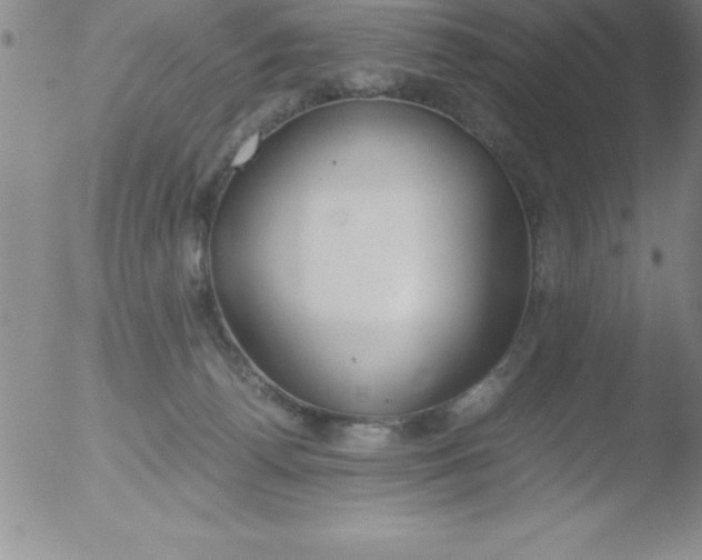 X0000051910176200507082039