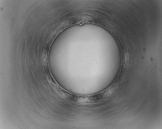 X0000051910177200507082039