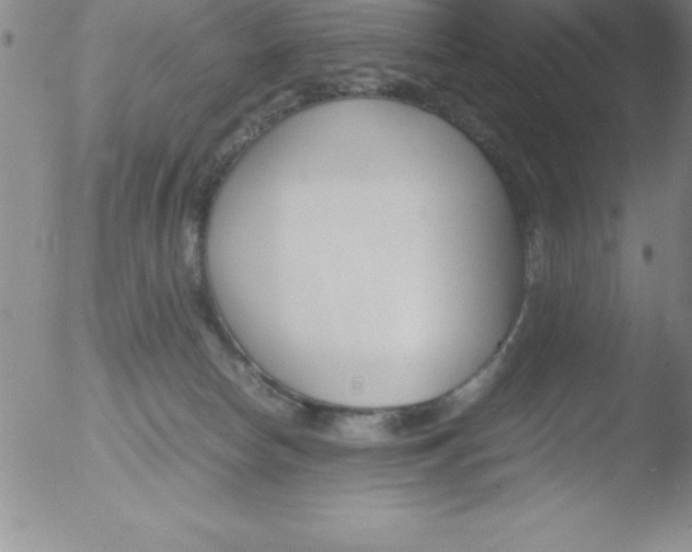 X0000051910178200507082039