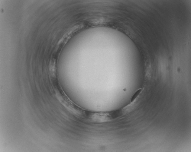 X0000051910179200507082039