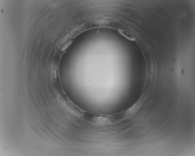 X0000051910180200507082039