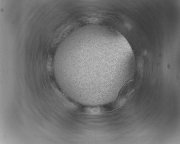 X0000051910181200507082039