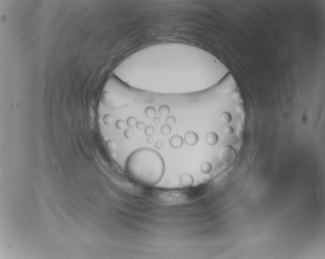 X0000051910183200507082039