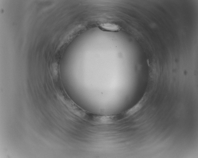 X0000051910184200507082039