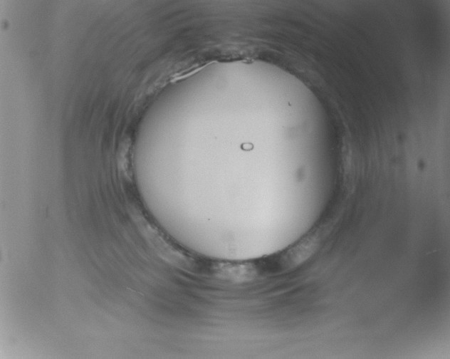 X0000051910185200507082039