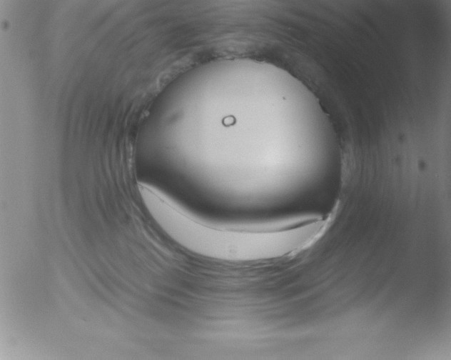 X0000051910186200507082039